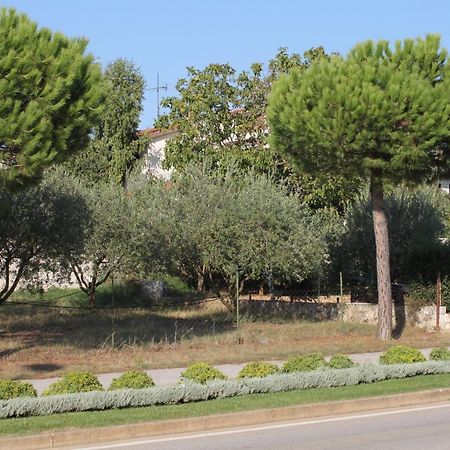 Apartments And Rooms With Parking Space Rovinj - 7170 Exterior foto